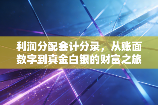 利润分配会计分录，从账面数字到真金白银的财富之旅