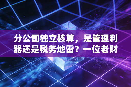 详细阅读:分公司独立核算,是管理利器还是税务地雷?一位老财务的真心话 分公司独立核算,是管理利器还是税务地雷?一位老财务的真心话