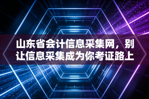 山东省会计信息采集网,别让信息采集成为你考证路上的绊脚石,一位注会老兵的肺腑之言