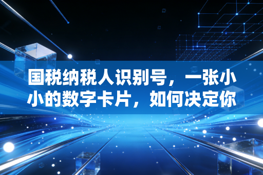 国税纳税人识别号，一张小小的数字卡片，如何决定你企业的生死存亡？
