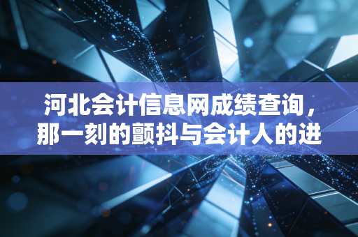 河北会计信息网成绩查询，那一刻的颤抖与会计人的进阶之路
