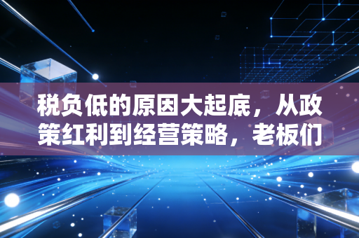 税负低的原因大起底，从政策红利到经营策略，老板们都在用的省钱逻辑