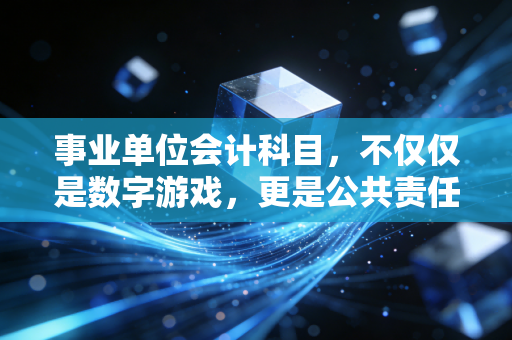 事业单位会计科目，不仅仅是数字游戏，更是公共责任的度量衡