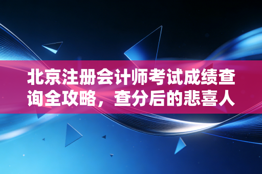 北京注册会计师考试成绩查询全攻略,查分后的悲喜人生与职业深度思考