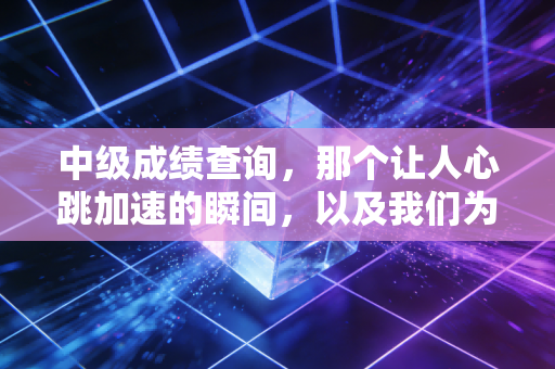 中级成绩查询，那个让人心跳加速的瞬间，以及我们为什么要坚持考下它