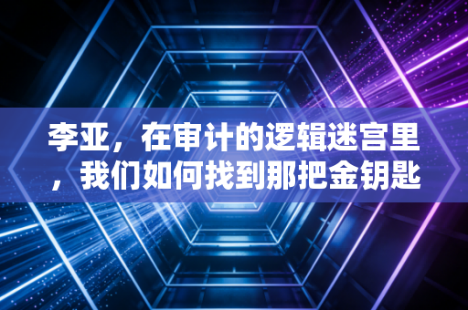 李亚，在审计的逻辑迷宫里，我们如何找到那把金钥匙？