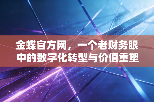 金蝶官方网,一个老财务眼中的数字化转型与价值重塑