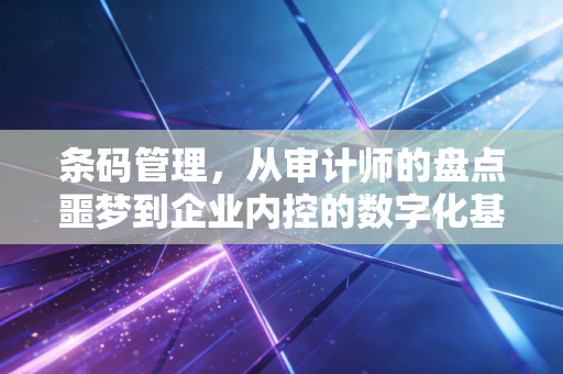 条码管理,从审计师的盘点噩梦到企业内控的数字化基石