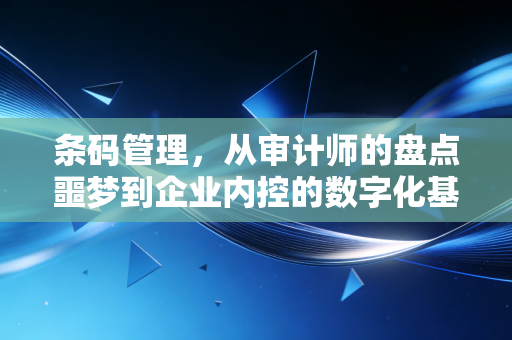 条码管理,从审计师的盘点噩梦到企业内控的数字化基石