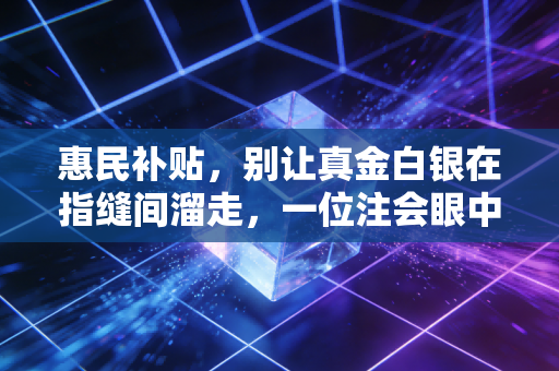 惠民补贴，别让真金白银在指缝间溜走，一位注会眼中的政策红利与生活真相
