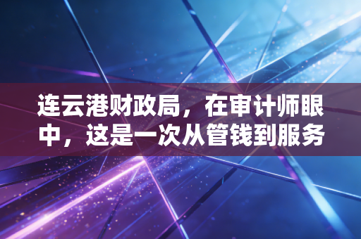 连云港财政局，在审计师眼中，这是一次从管钱到服务的温情蜕变