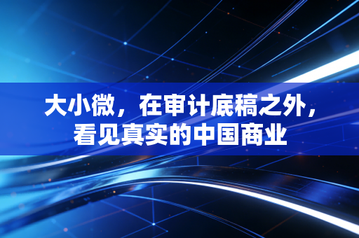 大小微，在审计底稿之外，看见真实的中国商业