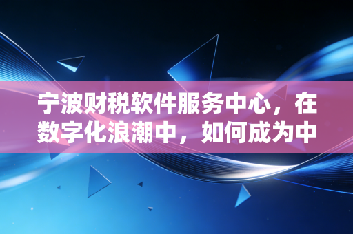 宁波财税软件服务中心，在数字化浪潮中，如何成为中小企业的财务定海神针？