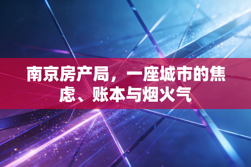 南京房产局,一座城市的焦虑、账本与烟火气