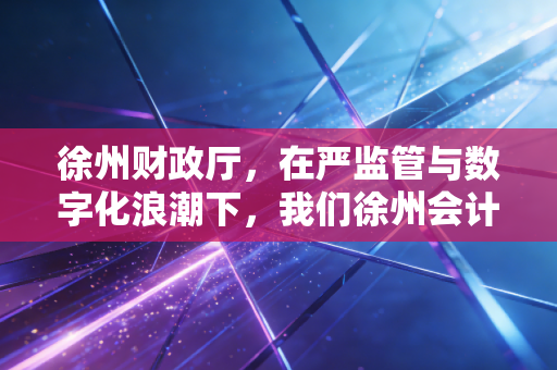 徐州财政厅,在严监管与数字化浪潮下,我们徐州会计人的真实生存图景