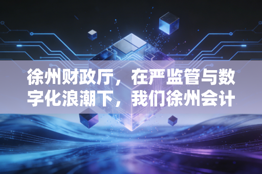 徐州财政厅,在严监管与数字化浪潮下,我们徐州会计人的真实生存图景