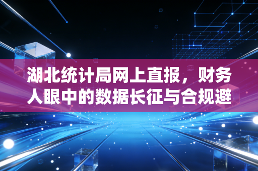 湖北统计局网上直报，财务人眼中的数据长征与合规避坑指南