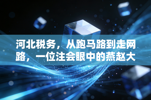 河北税务，从跑马路到走网路，一位注会眼中的燕赵大地税事变迁与未来展望