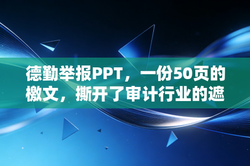 德勤举报PPT，一份50页的檄文，撕开了审计行业的遮羞布