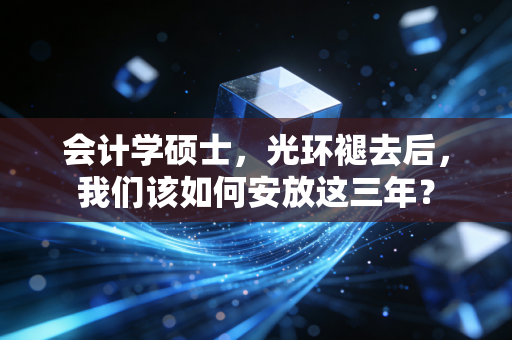会计学硕士,光环褪去后,我们该如何安放这三年?