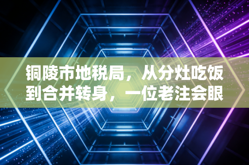 铜陵市地税局,从分灶吃饭到合并转身,一位老注会眼中的税收征管变迁录