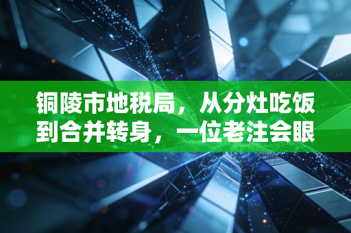 铜陵市地税局,从分灶吃饭到合并转身,一位老注会眼中的税收征管变迁录