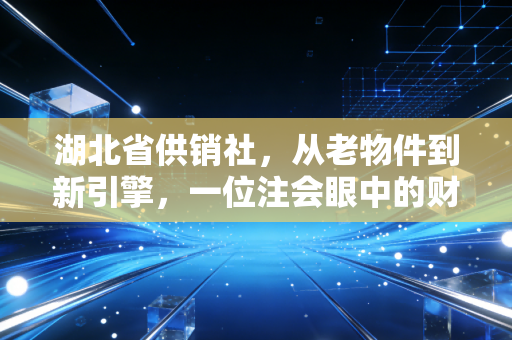 湖北省供销社，从老物件到新引擎，一位注会眼中的财务与民生变奏