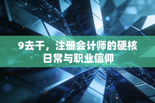9去干，注册会计师的硬核日常与职业信仰
