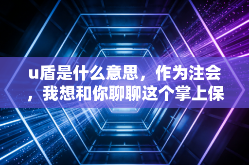 u盾是什么意思,作为注会,我想和你聊聊这个掌上保险箱的爱恨情仇