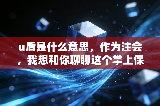 u盾是什么意思,作为注会,我想和你聊聊这个掌上保险箱的爱恨情仇