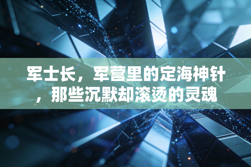 军士长，军营里的定海神针，那些沉默却滚烫的灵魂