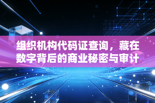 组织机构代码证查询，藏在数字背后的商业秘密与审计师的侦探时刻