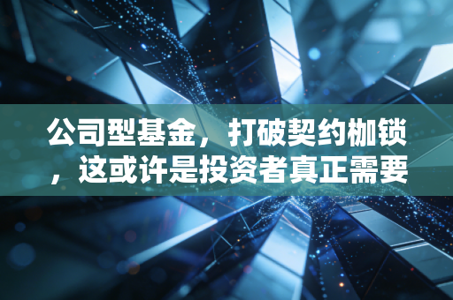 公司型基金，打破契约枷锁，这或许是投资者真正需要的股东权利