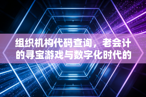 组织机构代码查询，老会计的寻宝游戏与数字化时代的审计变迁