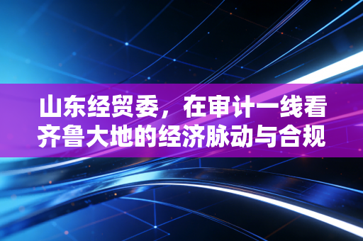 山东经贸委，在审计一线看齐鲁大地的经济脉动与合规挑战