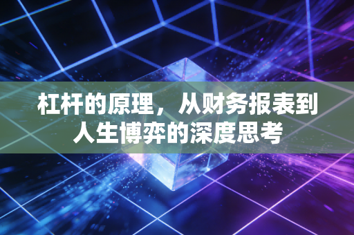 杠杆的原理，从财务报表到人生博弈的深度思考