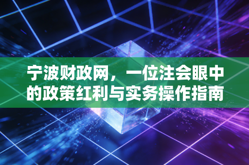 宁波财政网，一位注会眼中的政策红利与实务操作指南