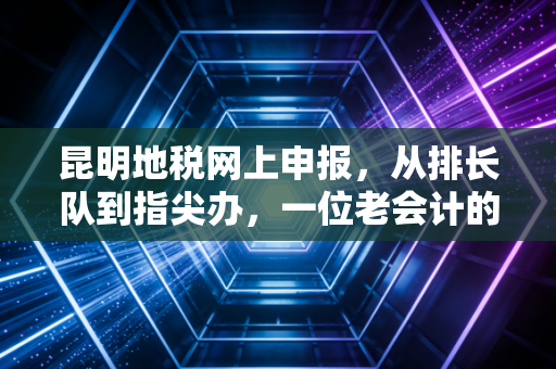 昆明地税网上申报,从排长队到指尖办,一位老会计的实操心路与避坑指南