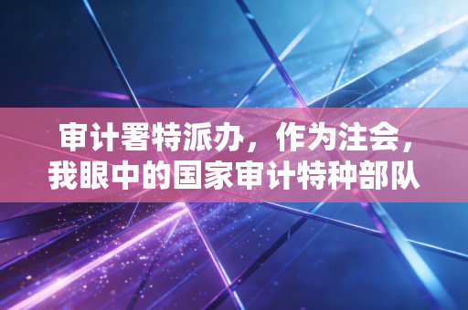 审计署特派办,作为注会,我眼中的国家审计特种部队与他们的真实战场