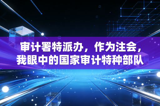 审计署特派办，作为注会，我眼中的国家审计特种部队与他们的真实战场