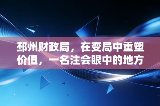 邳州财政局，在变局中重塑价值，一名注会眼中的地方财政新生态
