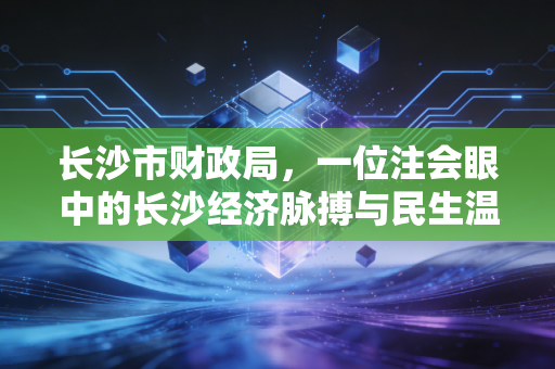 长沙市财政局,一位注会眼中的长沙经济脉搏与民生温度