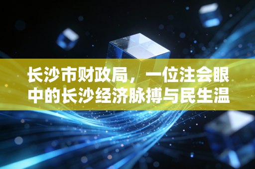 长沙市财政局,一位注会眼中的长沙经济脉搏与民生温度