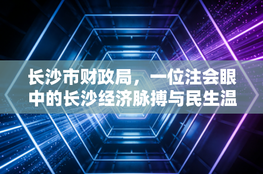 长沙市财政局，一位注会眼中的长沙经济脉搏与民生温度