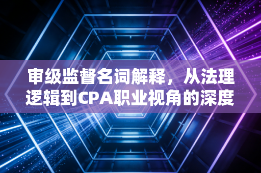 审级监督名词解释,从法理逻辑到CPA职业视角的深度剖析