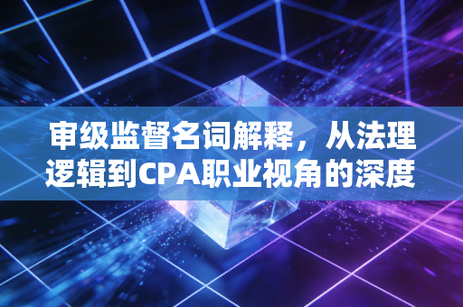 审级监督名词解释，从法理逻辑到CPA职业视角的深度剖析