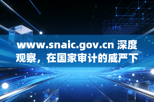 www.snaic.gov.cn 深度观察，在国家审计的威严下，注会人的坚守与突围