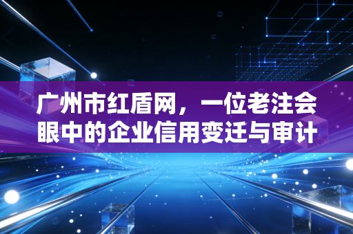 广州市红盾网,一位老注会眼中的企业信用变迁与审计实战录