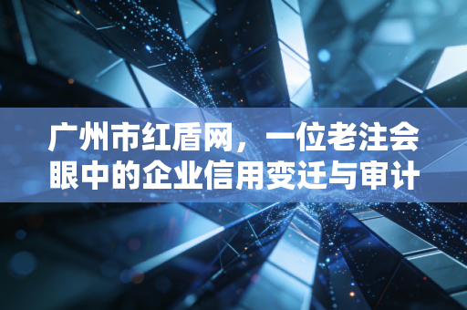 广州市红盾网，一位老注会眼中的企业信用变迁与审计实战录