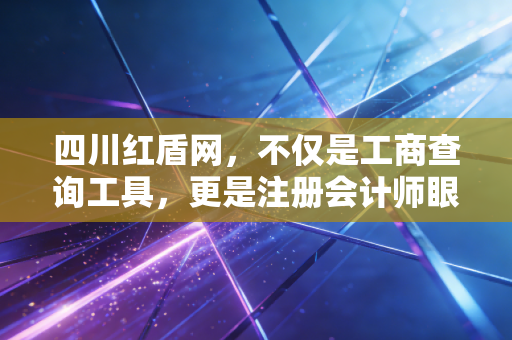 四川红盾网,不仅是工商查询工具,更是注册会计师眼中的企业体检报告